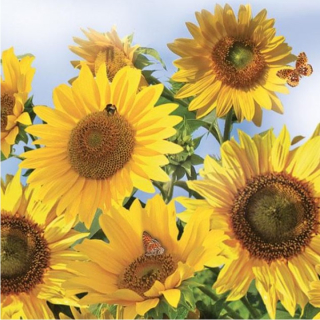 Χαροτοπετσετες για ντεκουπάζ Sunflowers in the Sky - 1 τεμ
