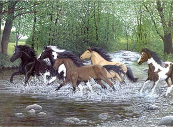 Σετ ζωγραφικης - Άλογα τρεχοντας