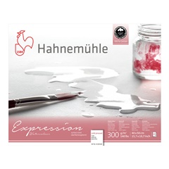 Χαρτί ακουαρέλας Hahnemühle Expression | 40x50 cm