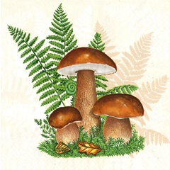 Χαρτοπετσέτες για ντεκουπάζ  Boletus with Leaves of Fern - 1 τεμάχιο