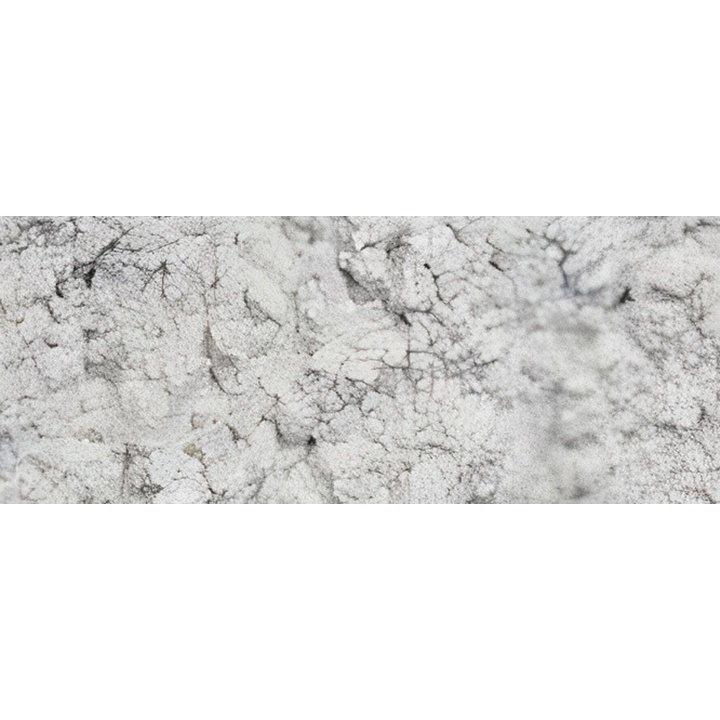 Χρωστική σκόνη Renesans 1000 g | pearl white